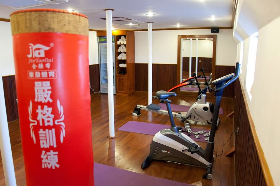 Pandaw RV Mekong Pandaw Gym.jpg